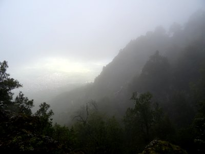 Brouillard et vent photo