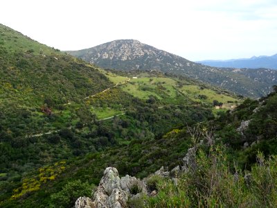 Le petit vallon sauvage en arrivant à Sos Rios par le haut… 