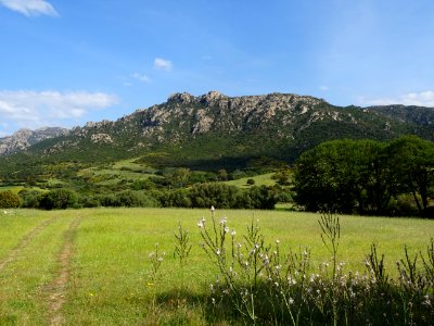 Contreforts du Monte Nieddu photo