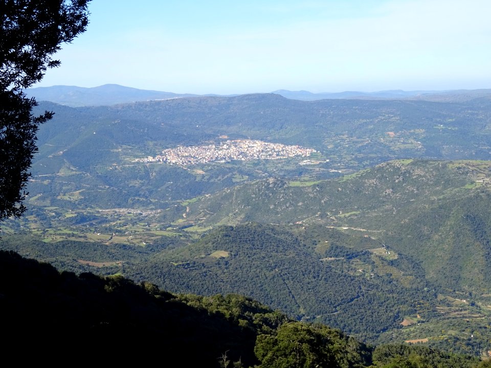 Orgosolo 