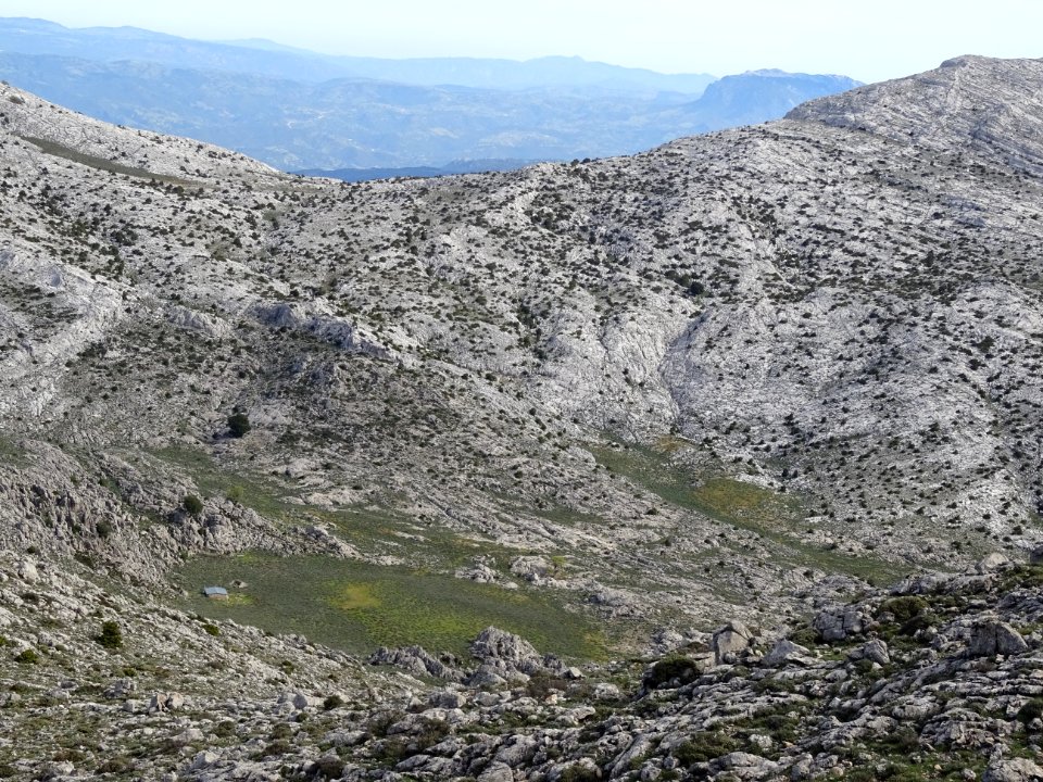 Vue vers la bergerie et la cuvette karstique de Su Pradu e… 
