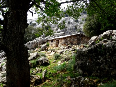 Cabane de berger sarde, Cuili Su Cordu 