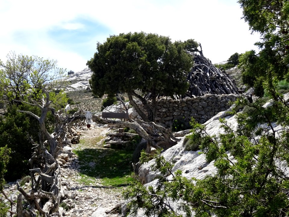 Cabane typique de berger sarde, Cuile Vadde 'e Sas Mandras… 