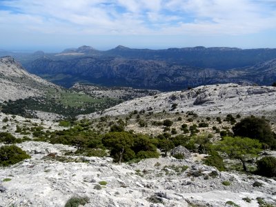 Après 20 minutes de navigation à vue, avec calage de l'alt… 