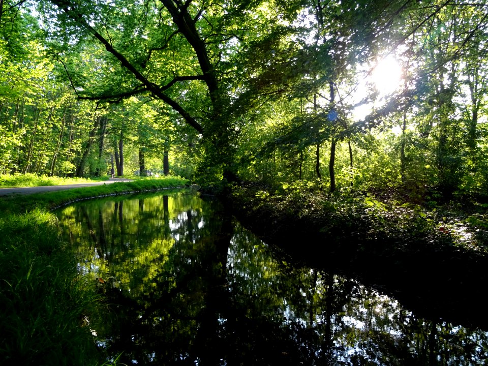 Ruisseau de Longchamp, Bois de Boulogne 