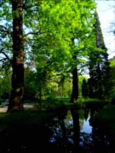Ruisseau de Longchamp, Bois de Boulogne 