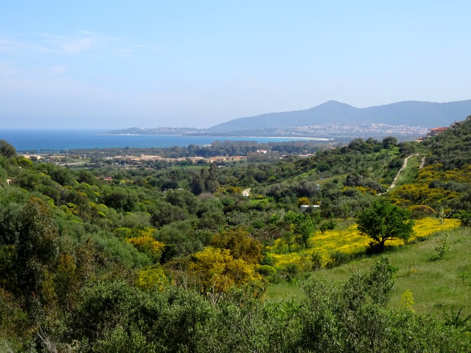 Baie d'Agrustos et de Budoni 