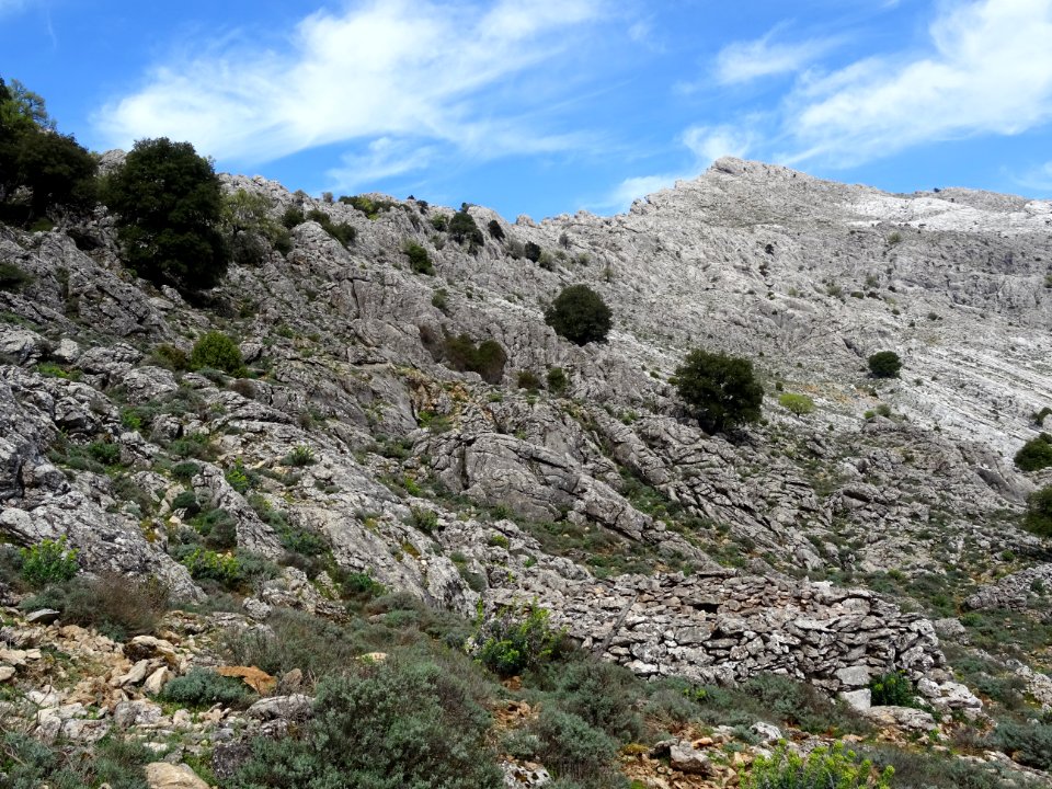 Ruines del Cuile Brunc' Arvu et le Monte Corrasi 