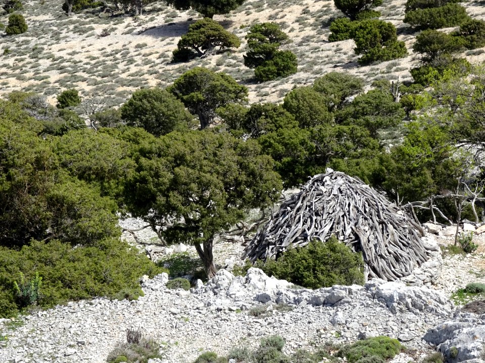 Cabane de berger sarde : Cuile Vadde 'e Sas Mandras 