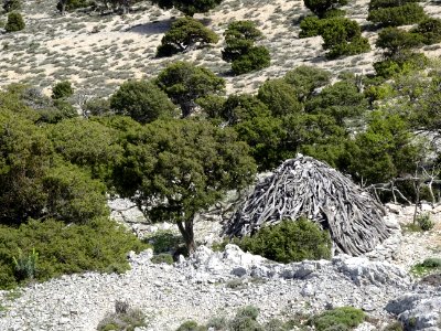 Cabane de berger sarde : Cuile Vadde 'e Sas Mandras 