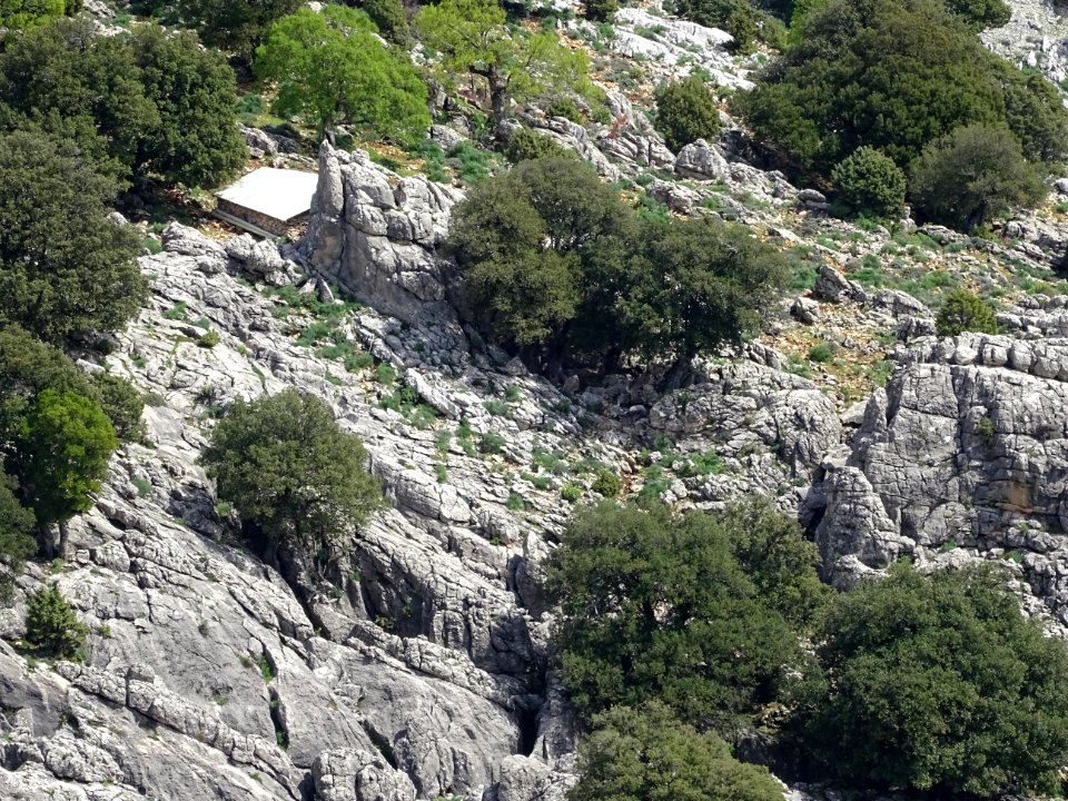 La cabane de berger sarde, Cuili su Cordu bien cachée dans… 