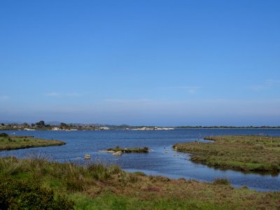 Etang de San Teodoro photo