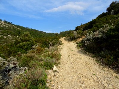 Le chemin carrossable devient très caillouteux et grimpe d… photo