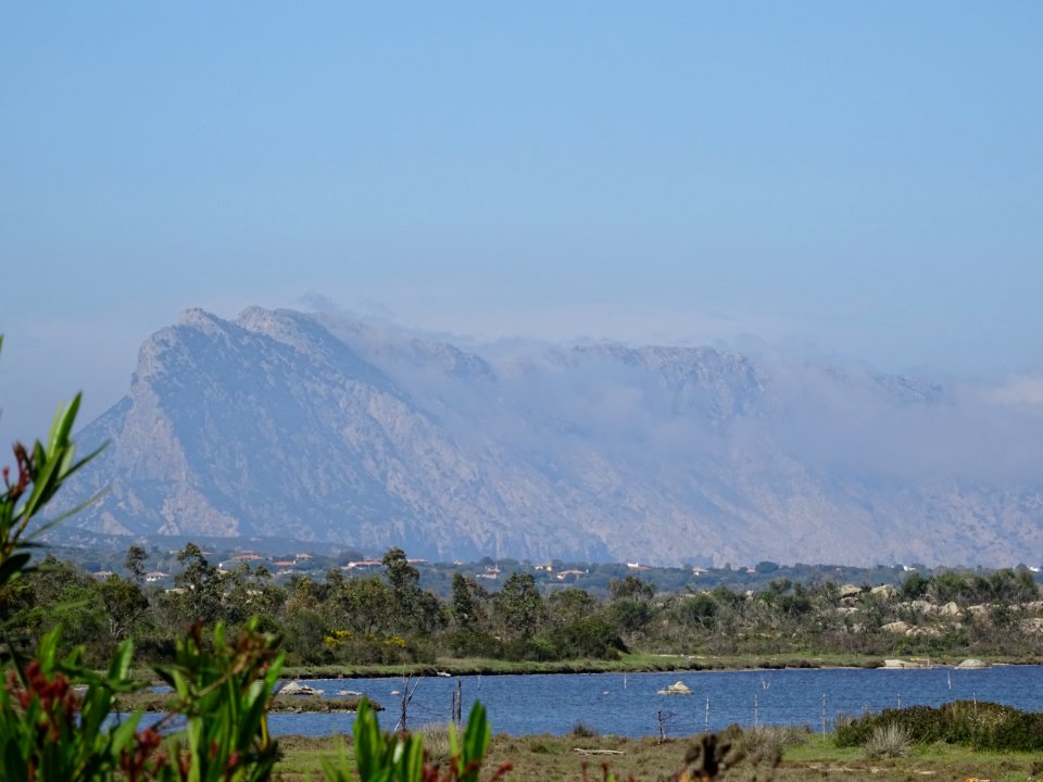 Etang de San Teodoro et au loin La Tavolara 