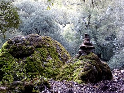 Un cairn sur le bord du sentier 