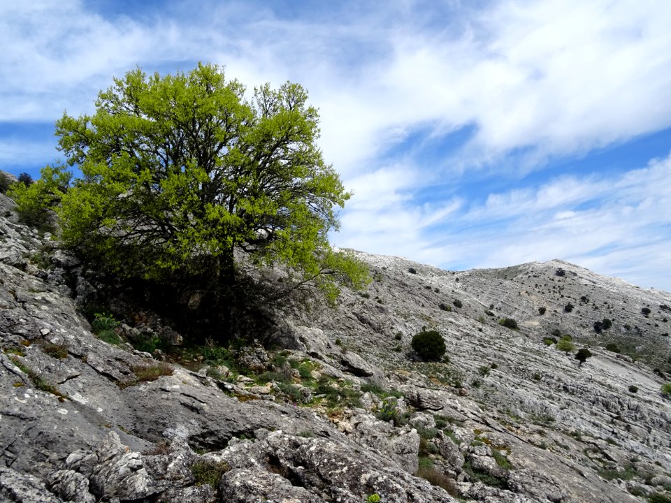 Vert, bleu, blanc et gris 