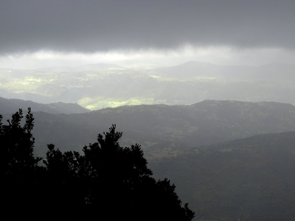 Brouillard et vent, ambiance humide et froide 