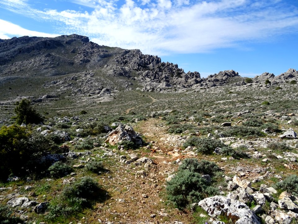 Le sentier qui monte jusqu'au Monte Corrasi 