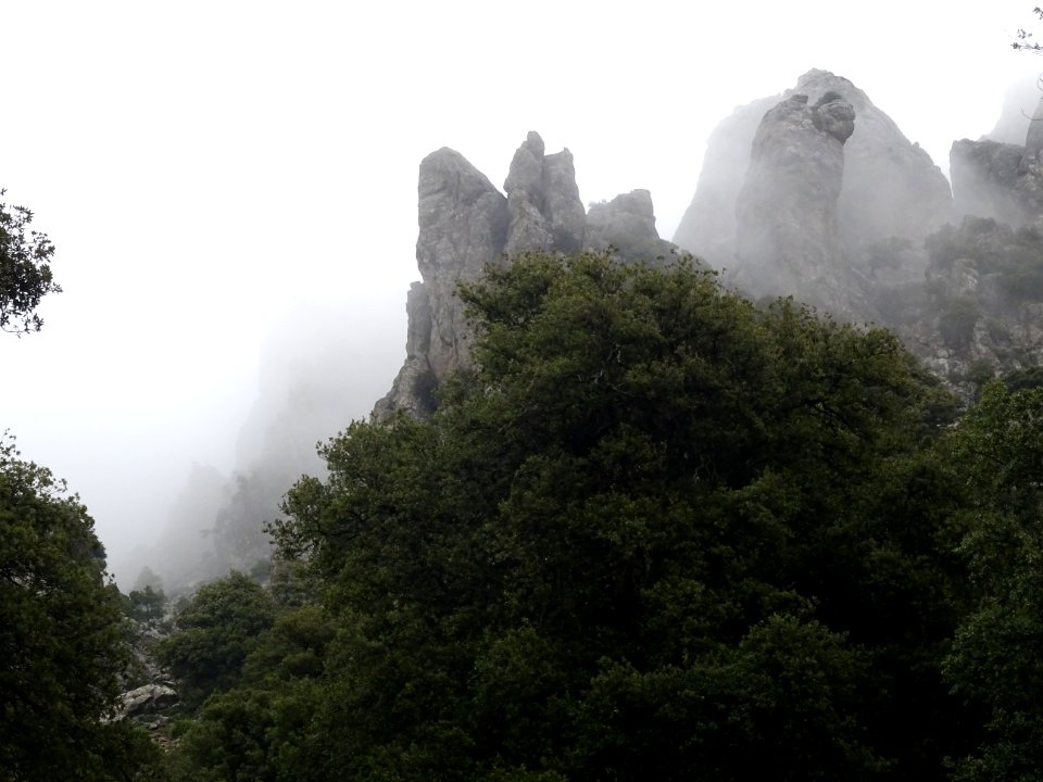 Brouillard dans les pointes rocheuses 