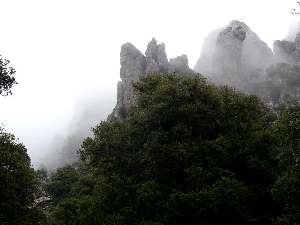 Brouillard dans les pointes rocheuses photo