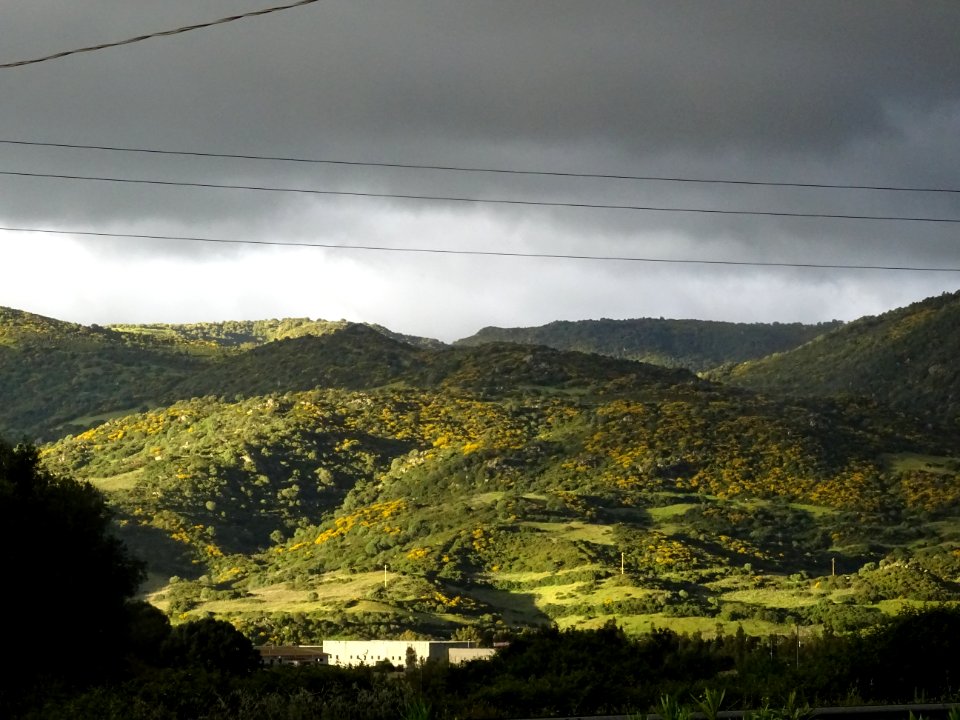Clair obscur sur la voir rapide entre Siniscola et Nuoro 