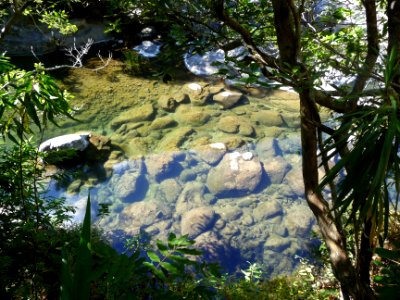 Bras de Sainte Suzanne 