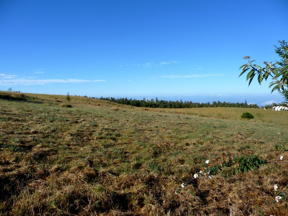 Prairie avant la descente vertigineuse vers Grand Bassin 