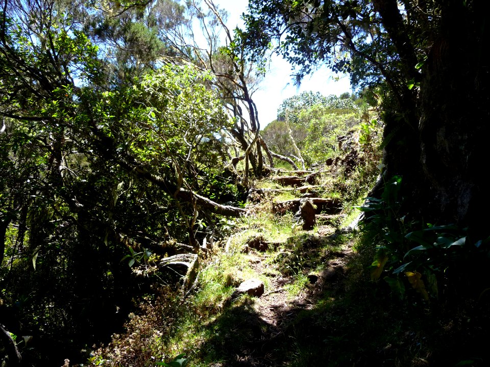 Le sentier continue de grimper 