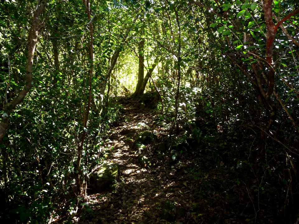 Début du sentier Mollaret 