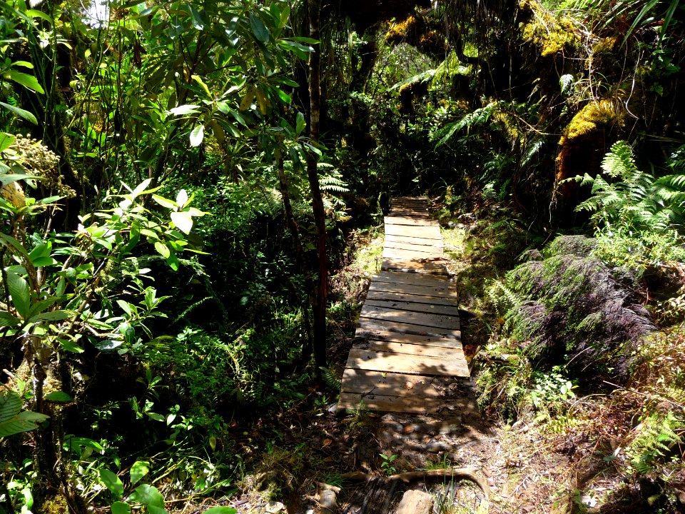 Petit passage avec des planches en bois pour rassurer 