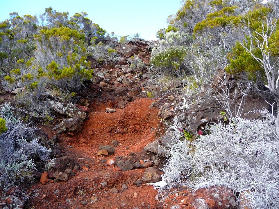 Le sentier dans la roche et le sable rouge 