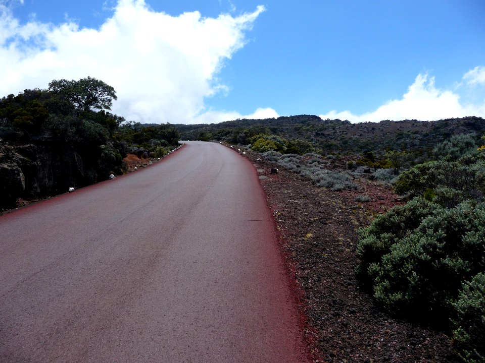 Route forestière du Volcan au niveau du Puy du Pas des Sab… 