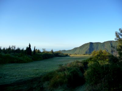 Rosée dans les prés et lumière du matin 