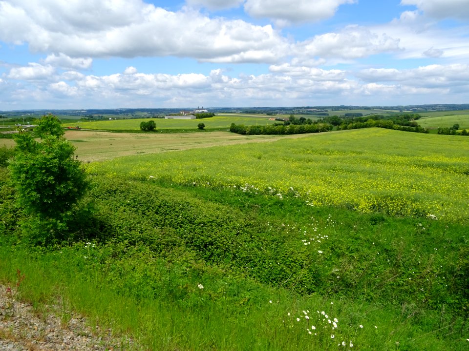 Prairies de l'Orne 