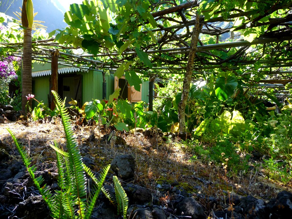 Un jardin ombragé et suspendu, Grand Bassin 