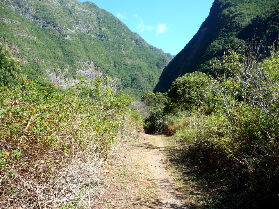 Vallée du Bras de Sainte Suzanne, devant à l'ombre, le pie… 