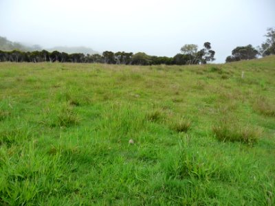Prairie, les traces blanches continuent sur des piquets en… 