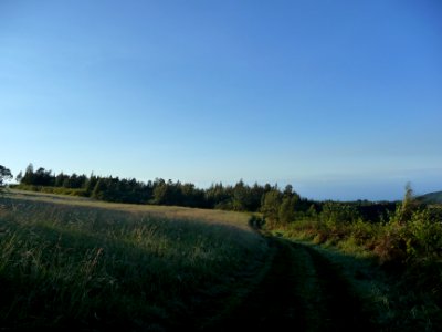 Du vert, du bleu, de l'air et de la lumière 