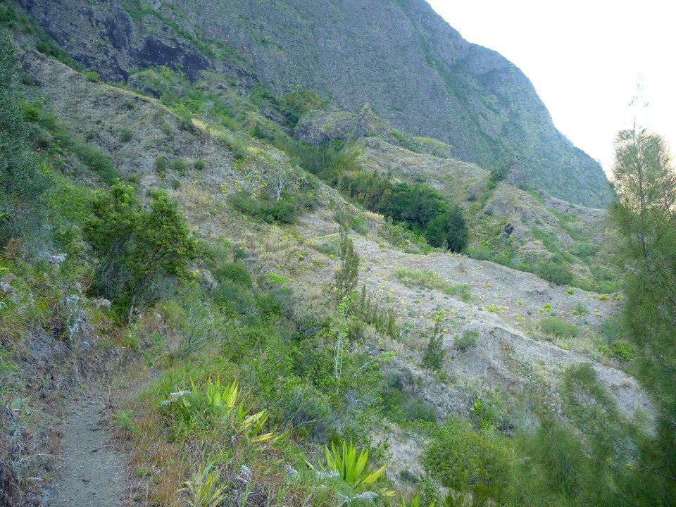 Le sentier fait des virages à plat 