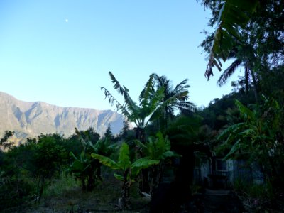 Une case, un jardin, des bananiers 