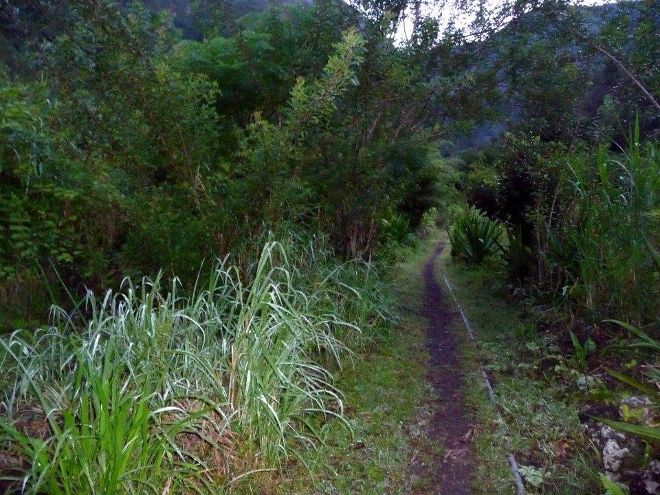 Le sentier de Cap Blanc 