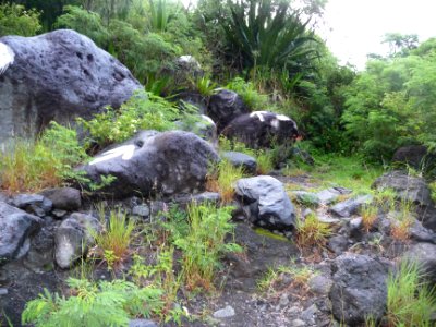 Suivre les flèches blanches sur les rochers 