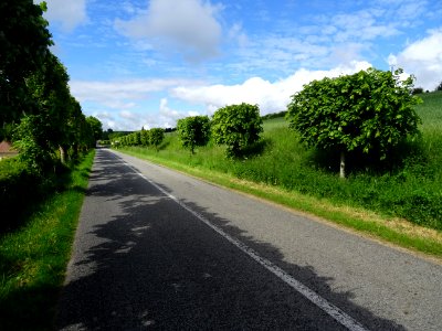 Grande ligne droite bordée d'arbres à l'entrée de Longny-a… 
