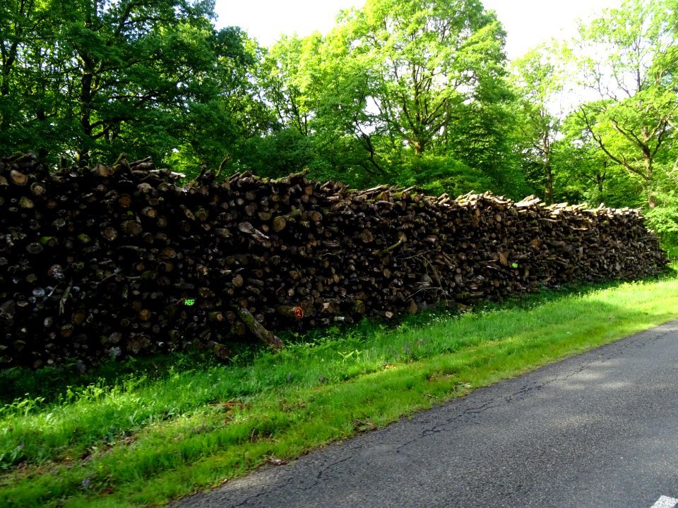 Tas de bois sur le bord de la route 