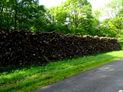 Tas de bois sur le bord de la route 