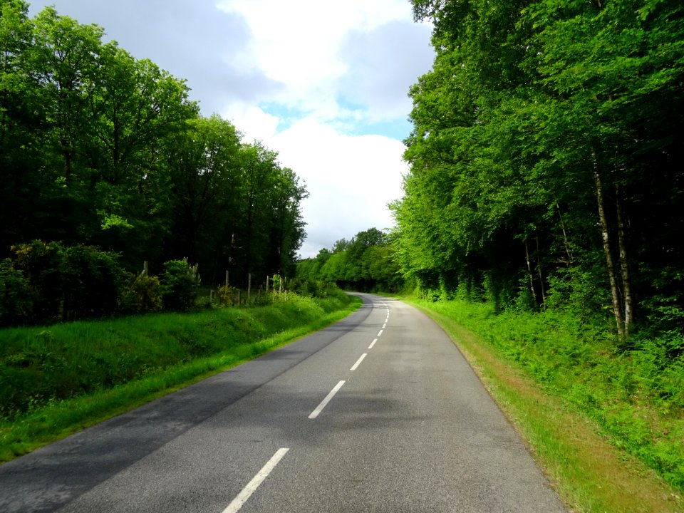 Forêt de Longny, Orne 
