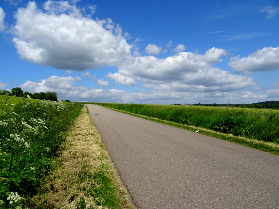 Du bleu, du blanc, du vert, de l'air et du soleil, Orne 