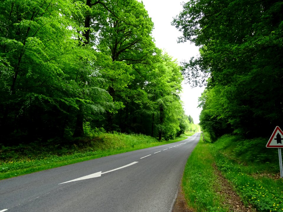 Forêt domaniale du Perche et de la Trappe, Orne 