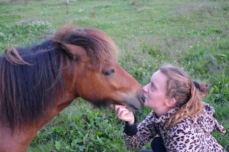 Conditions domestic animal cute