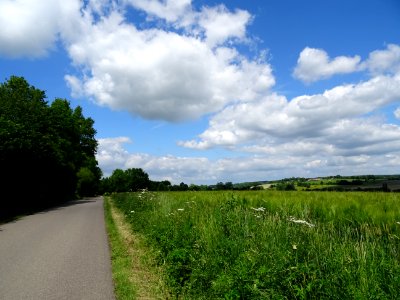 Paysage champètre de l'Orne 